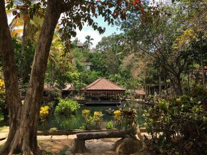 temple yoga bali travel explore indonesia soda sidayoga victoria teacher retreat forest green nature